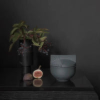 Basalte noir - Sel gemme et bois flotté